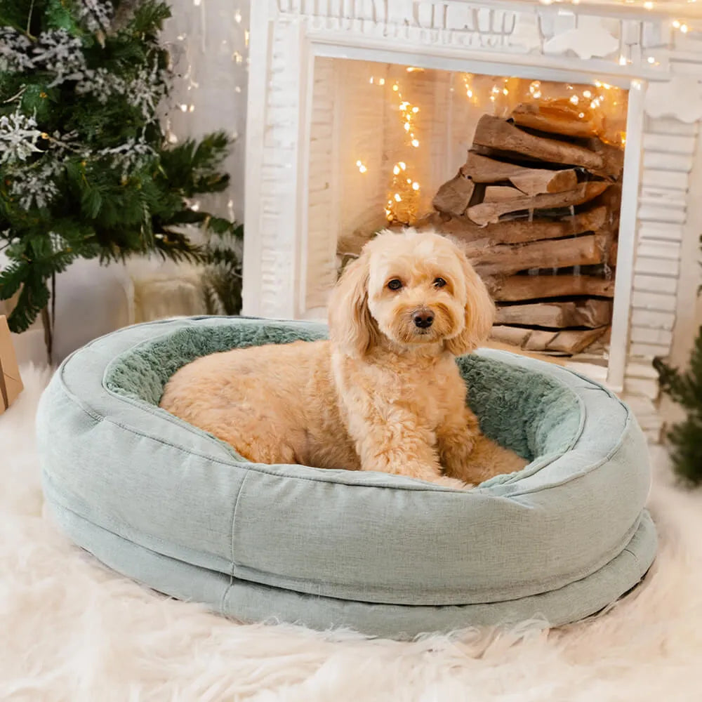 Warming Bed for Dogs: Will It Keep My Dog Warm in Winter?