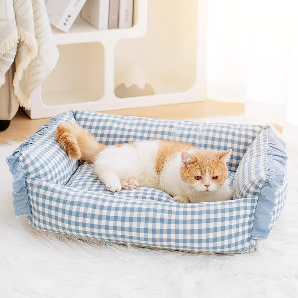 Dog Pillow Bed vs Regular Dog Bed: Which Is Better for Your Pet’s Health