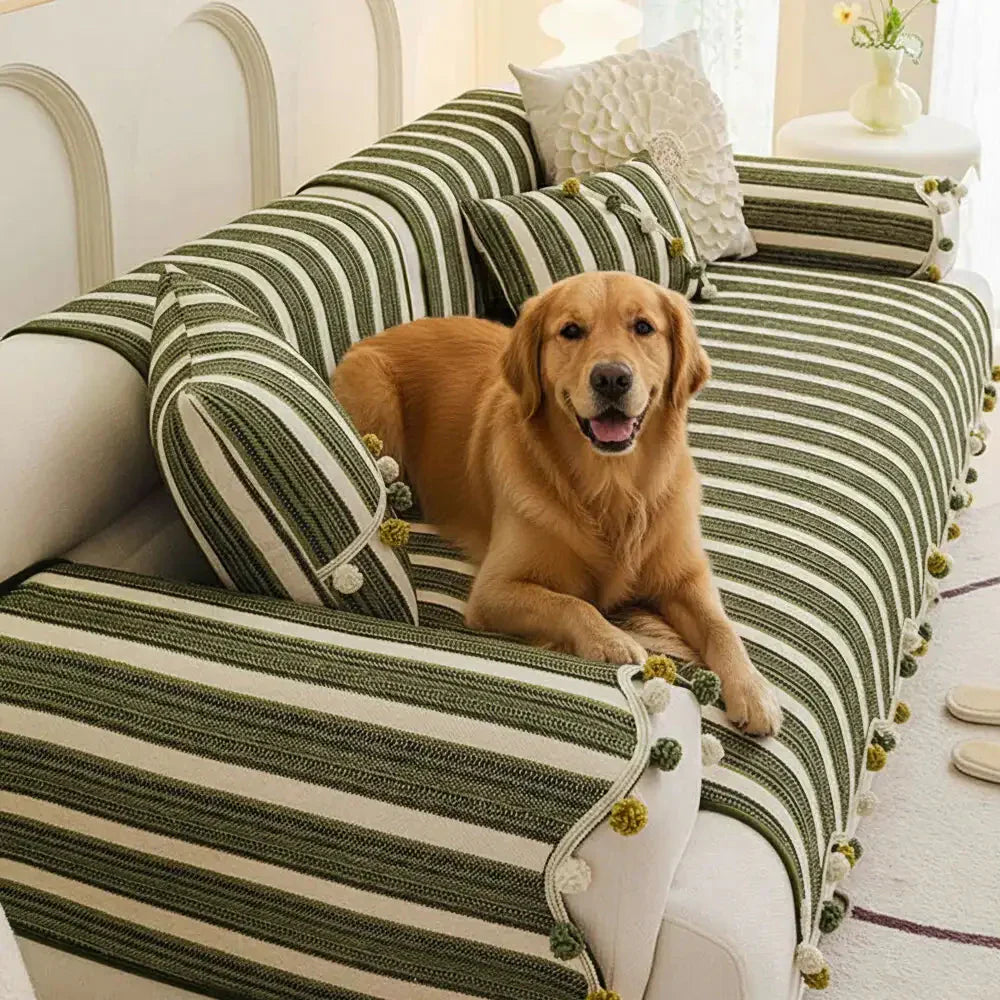 Pet-Friendly Black Friday Sofa Covers: Best Deals for Dogs, Cats & Living Rooms