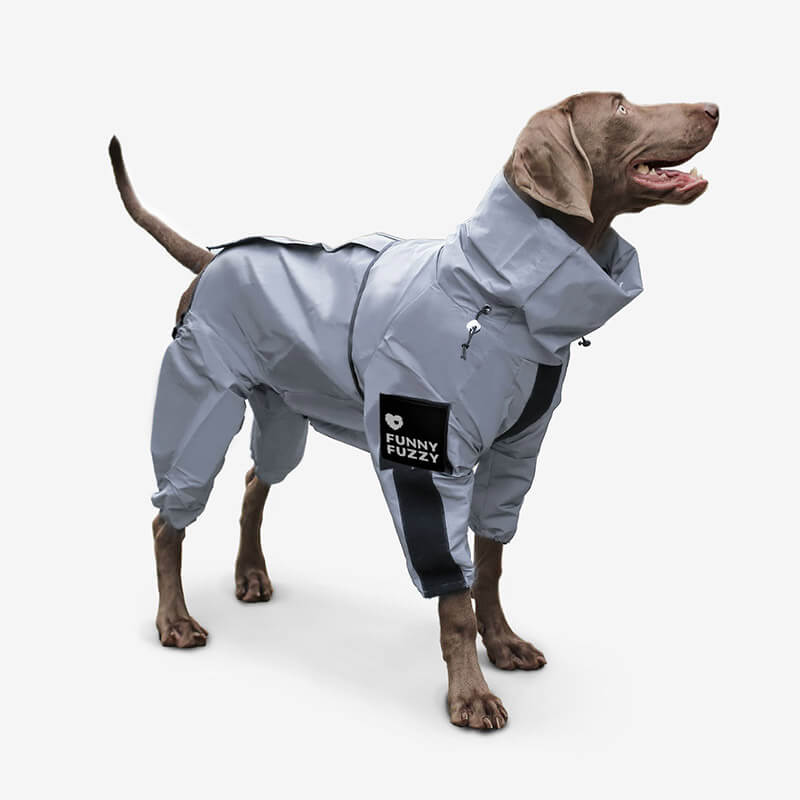 Black Friday Dog Clothing Deals – Stylish, Cozy