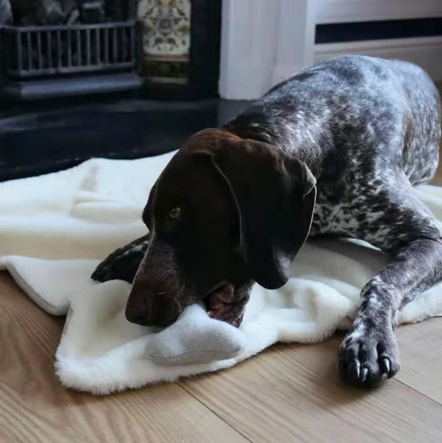 Ways to Relieve Your Dog’s Boredom