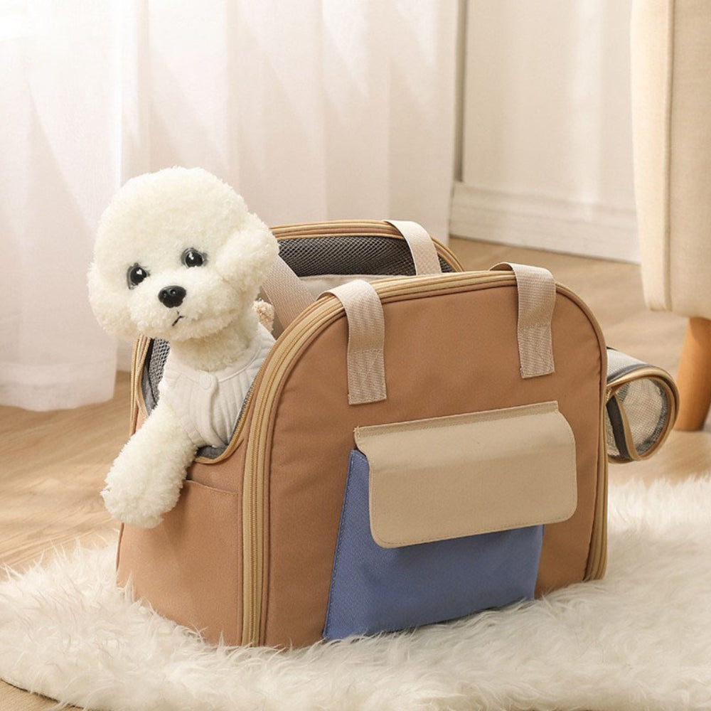 Are Soft or Hard Dog Carriers Better?