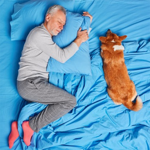Sleeping With Dogs: The Pros, Cons And The Best Bed For Your Dog