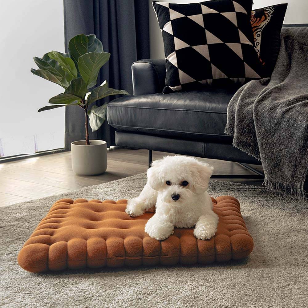 Why Do Dogs Lick Their Bed?