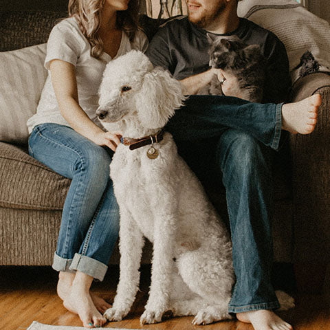 My Dog is my Valentine: Celebrate Valentine’s Day with Your Dog