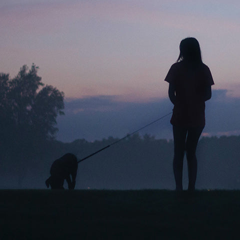 Walking Dog at Night: Tips and Tricks to Keep Your Dog Safe