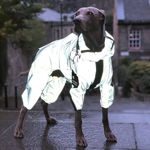 Why use a dog raincoat?