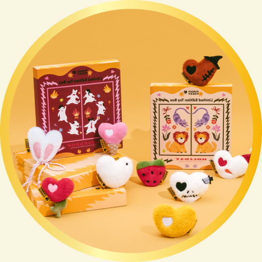 Black Friday Deals: Dog Beds, Sofa Covers, and Dog Car Seat You Need to Know