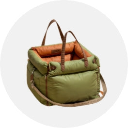 Carrier & Travel