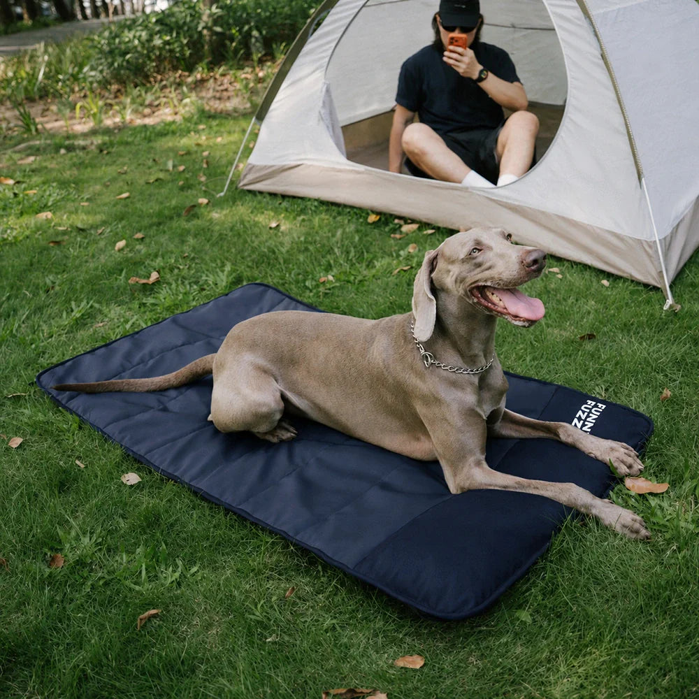 Outdoor Portable Waterproof Dog Mat-Urban Roaming
