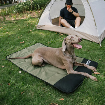 Portable Waterproof Dog Mat-Urban Roaming