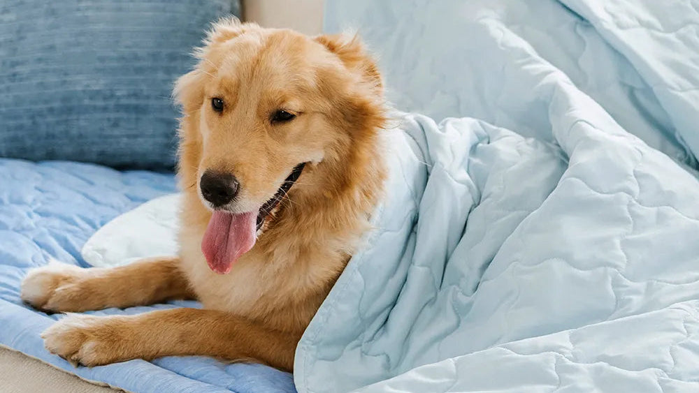 Cooling Non-Slip Sofa Cover - Chill Nest