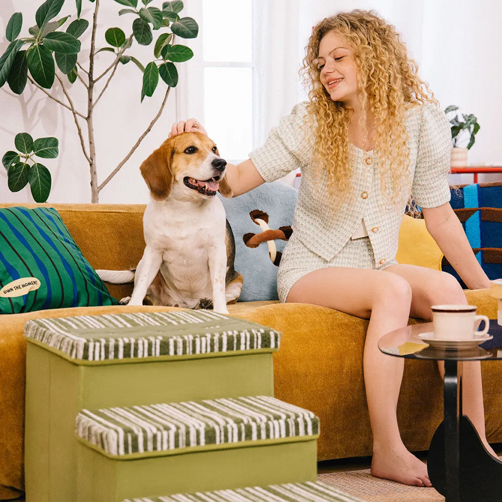 Foldable Dog Stairs with Storage and Condo Dog Steps - Funnyfuzzy SnugNest