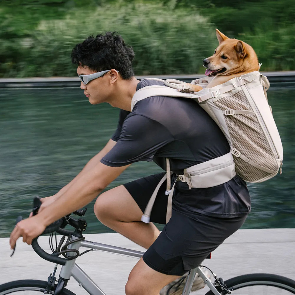 Dog Carrier Backpack-Urban Roaming