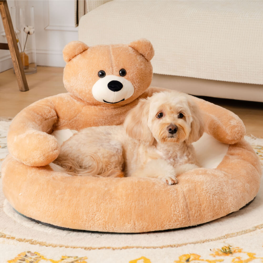 Cute Detachable Cuddle Bear Dog & Cat Bed
