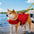Dog Life Jacket with Detachable Chin Support