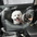 ISOFIX Dog Car Seat Bed with ISOFIX System - First Class