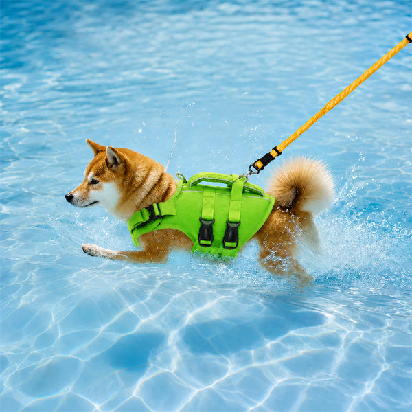 Adjustable Dog Life Jacket with Reflective Strips for Medium and Large Dogs