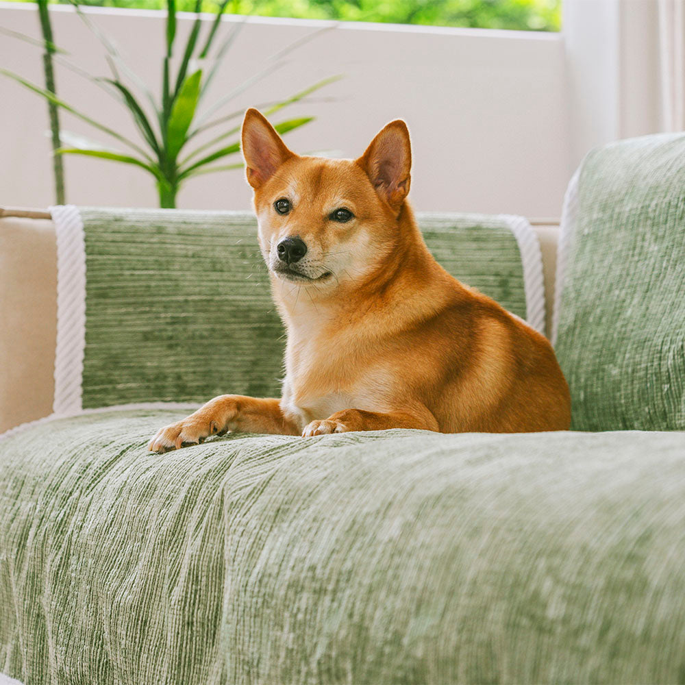 All-Season Anti-Slip Striped Pet Rug Furniture Protector with Armrest Outdoor Garden Sofa Cover