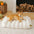 Large Washable Creamy Cosy Flat Dog Beds - Cheesecake