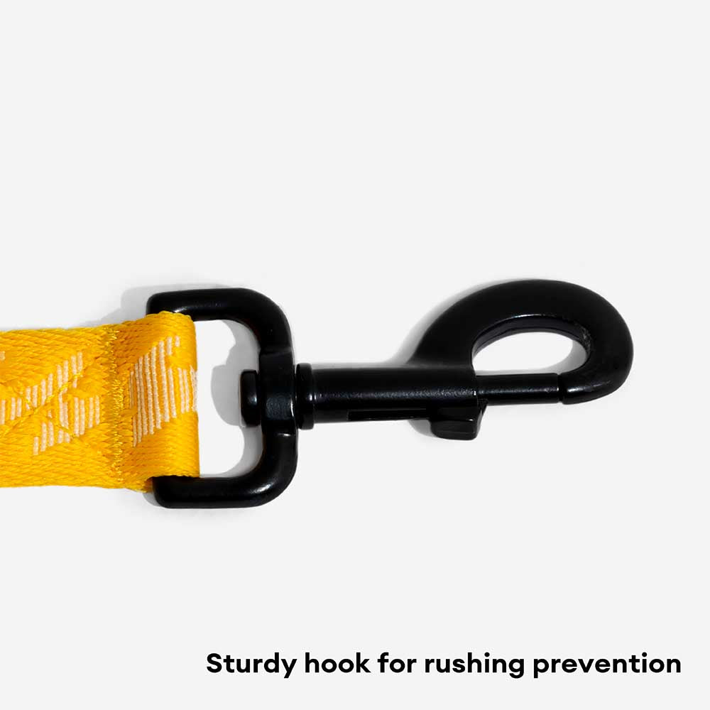 Dual-sided Reflective Adjustable Versatile Soft Handle Nylon Large Dog Leads - Flexi Walker