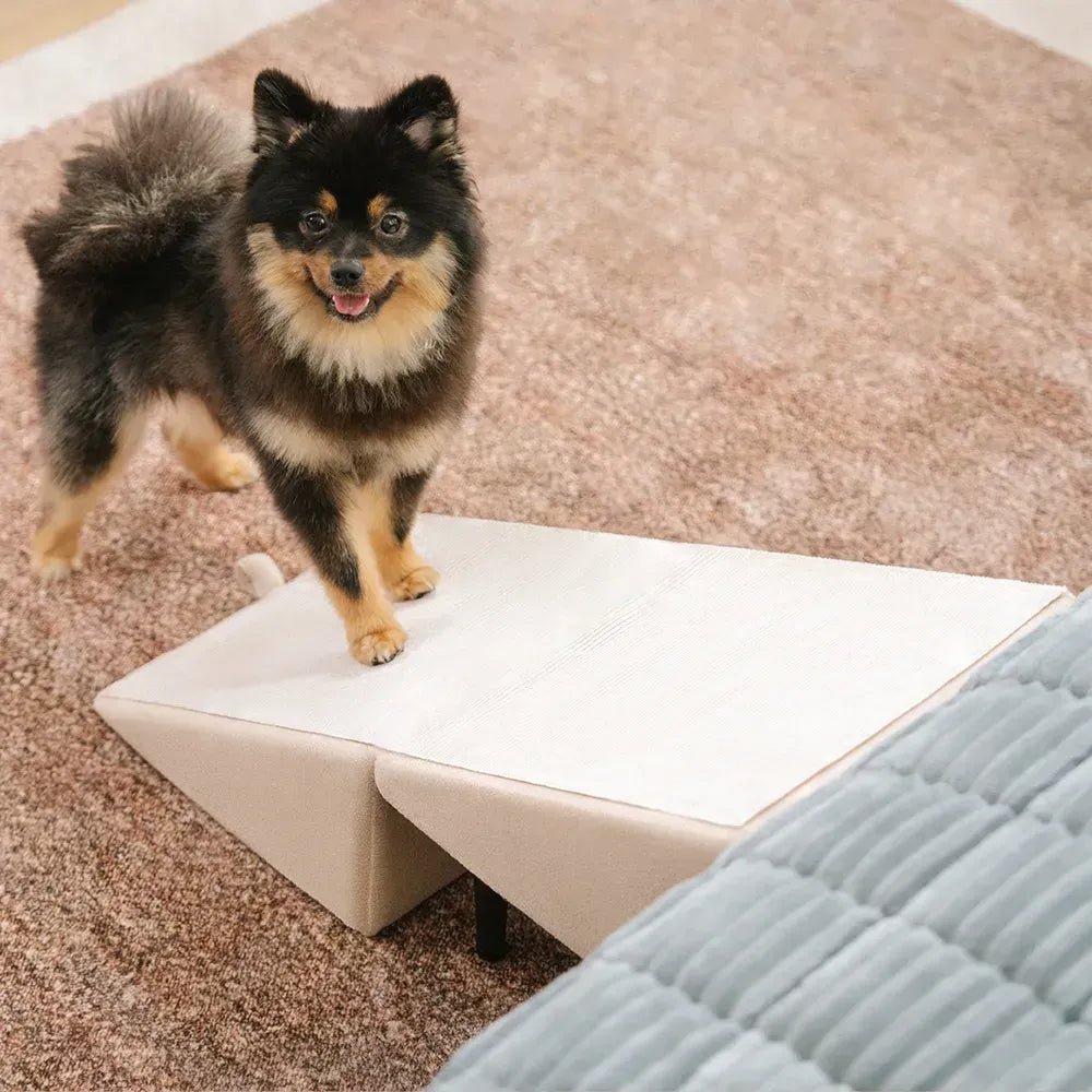 2-in-1 Convertible Wooden Home Step Stool Dog Ramp Stairs - Pet-Friendly Bedroom