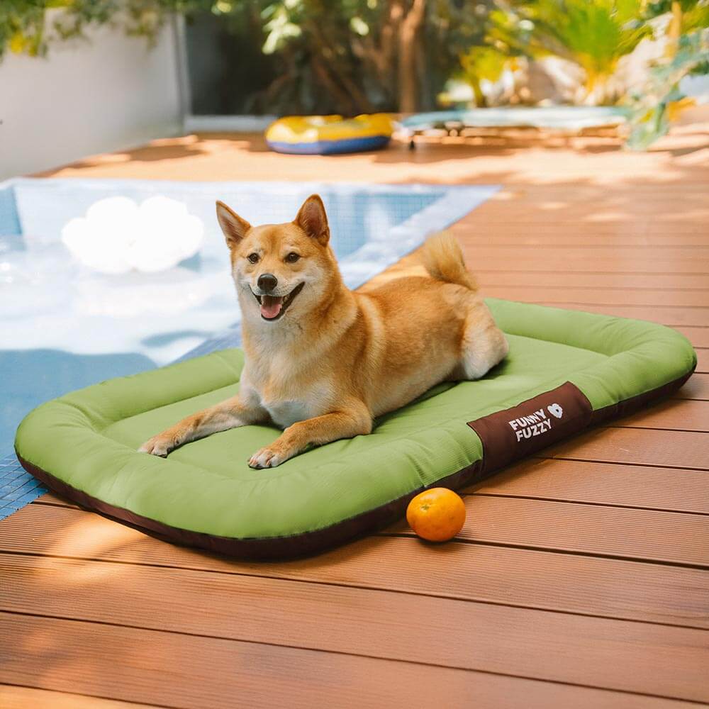 Outdoor Waterproof & Scratch-Resistant Colour-blocked Orthopaedic Dog Mat - Trek Lounge