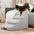 Climbing Aid for Bed and Couch Access Joint Protection Soft Dog Ramp Stairs - Pet-Friendly Bedroom