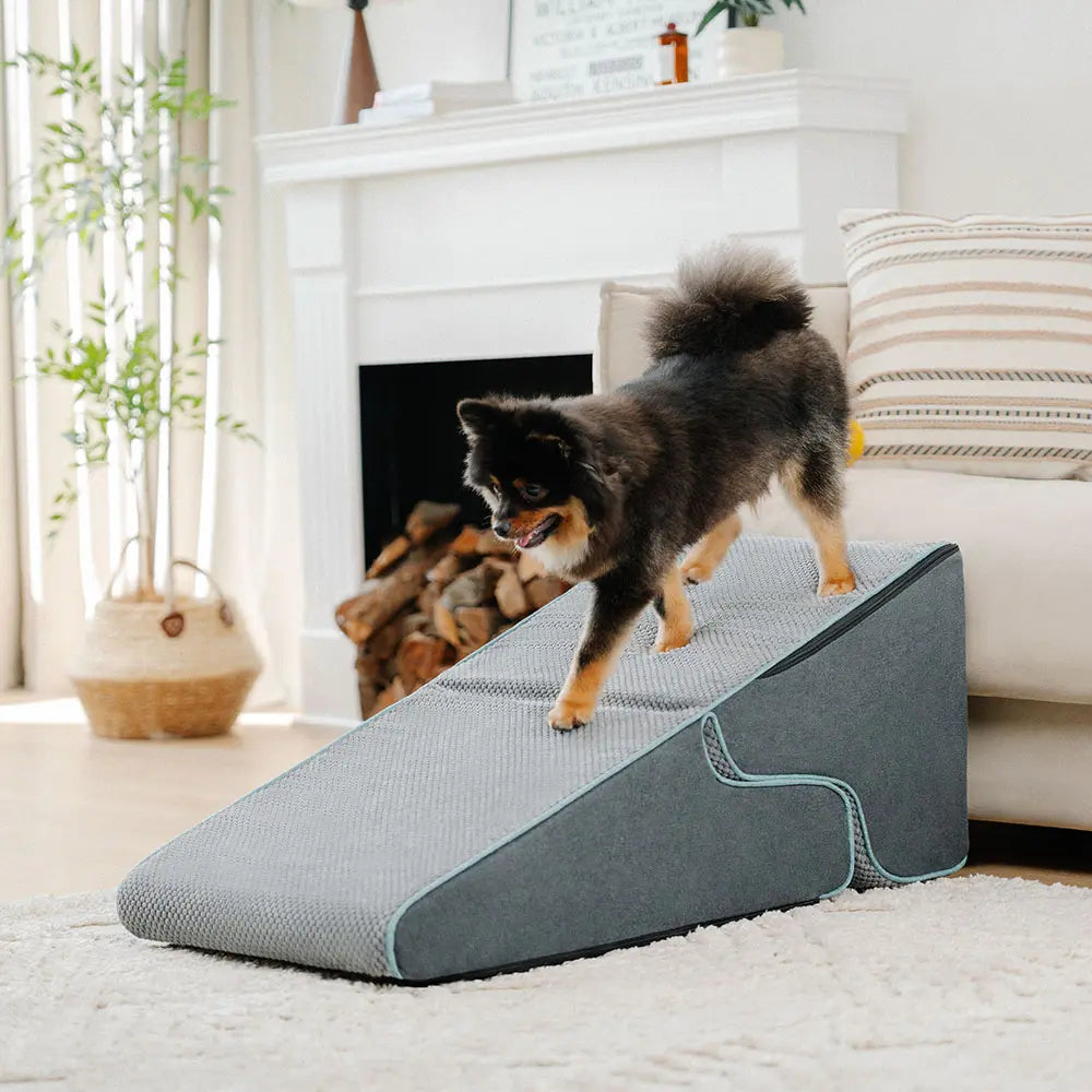 Multifunctional 2-in-1 Foldable Dog Steps with Ramp Mode