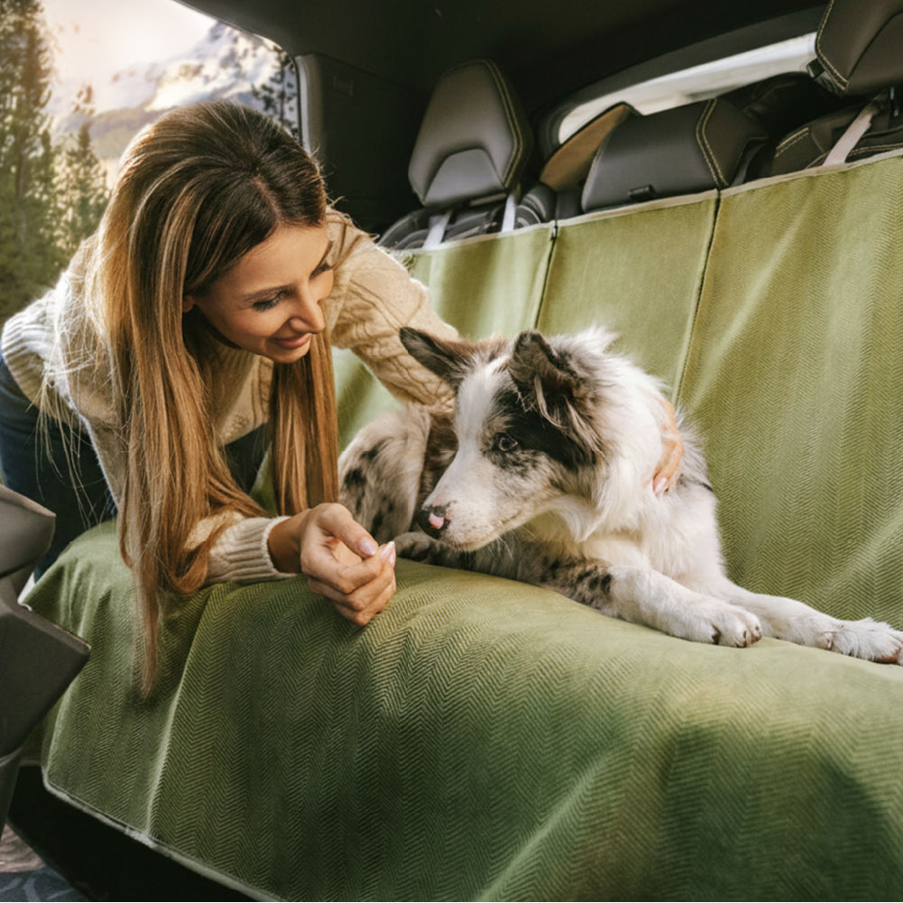Waterproof All-season Stain-Resistant Dog Car Seat Cover - Retro