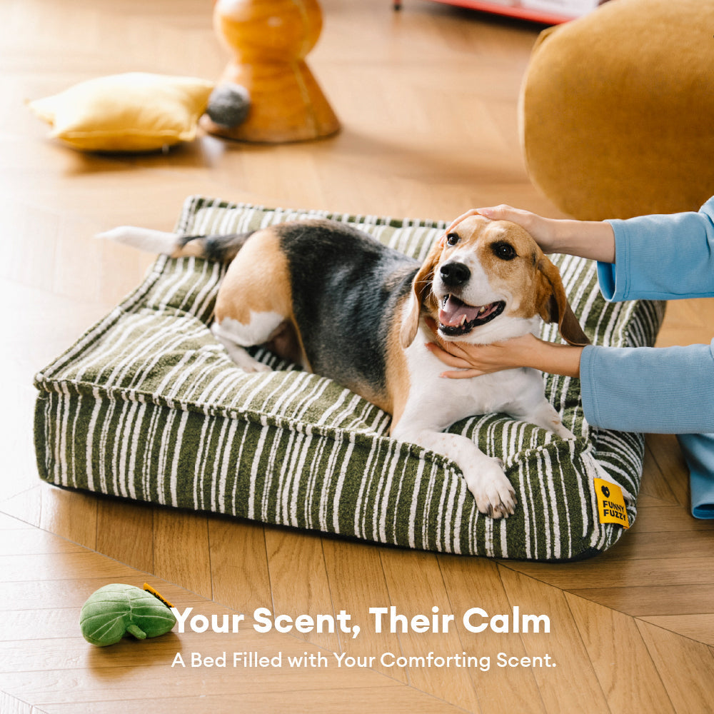 Sustainable Storage Pouf Ottoman & Dog Bed - Funnyfuzzy SnugNest