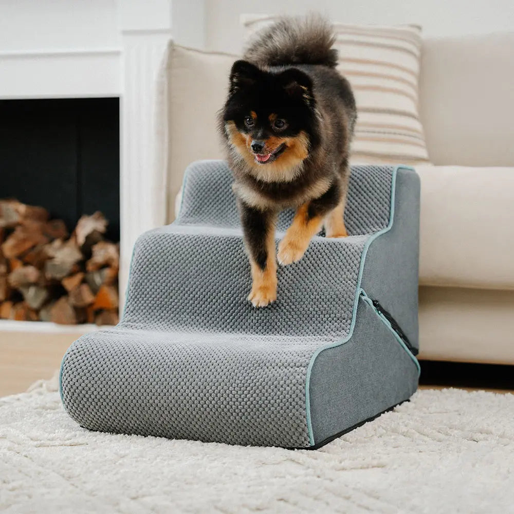 Multifunctional 2-in-1 Foldable Dog Steps with Ramp Mode