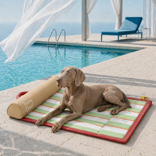 Portable Cooling Cat & Dog Mat - Chill Nest