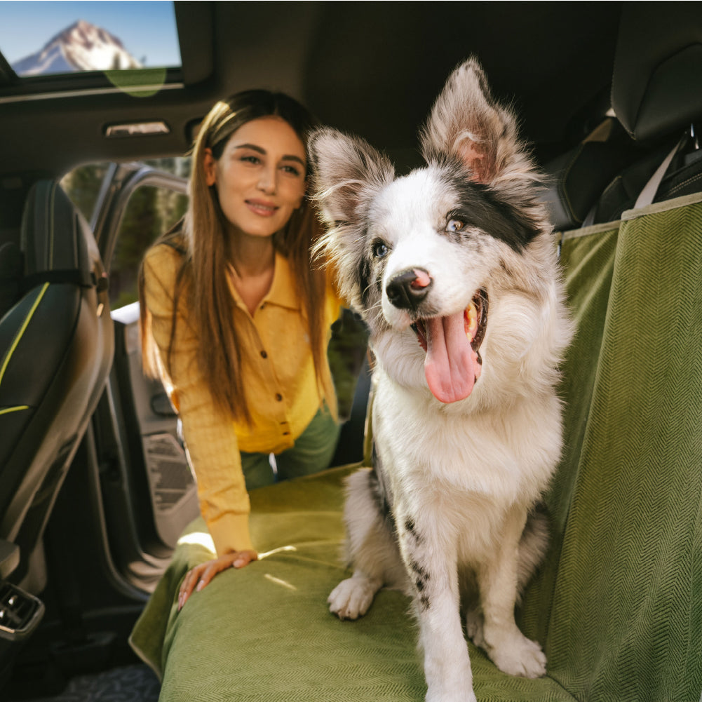 Waterproof All-season Stain-Resistant Dog Car Seat Cover - Retro