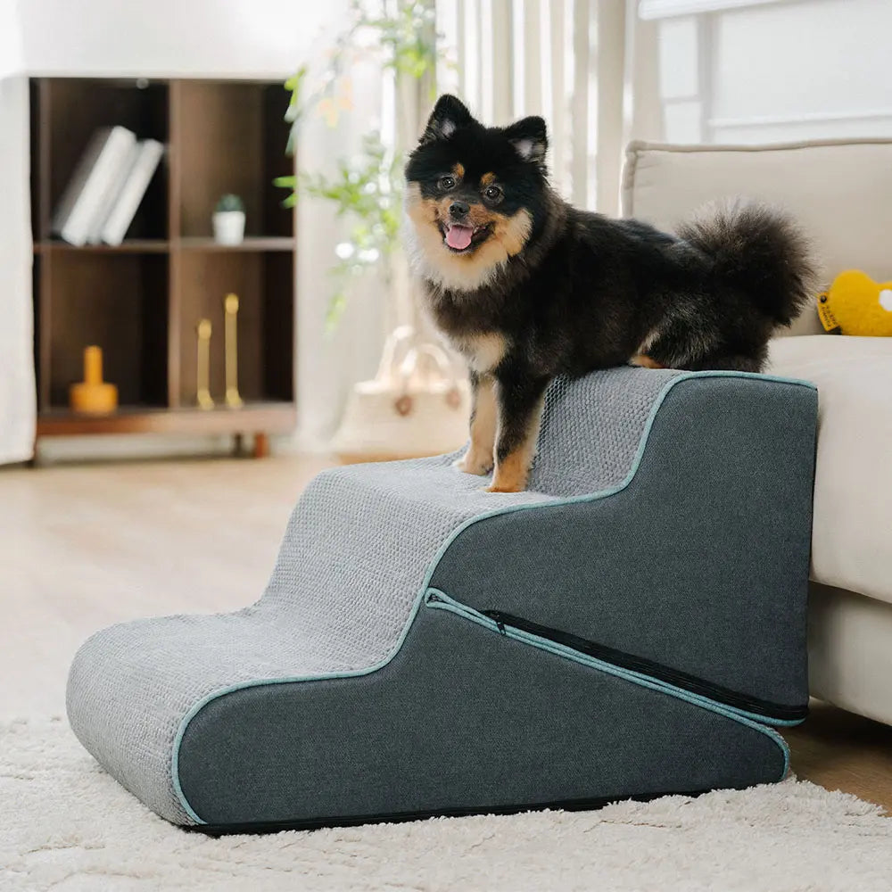 Multifunctional 2-in-1 Foldable Dog Steps with Ramp Mode