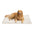 Fluffy Faux Rabbit Fur Washable Warm Pet Mat - ComfyEase