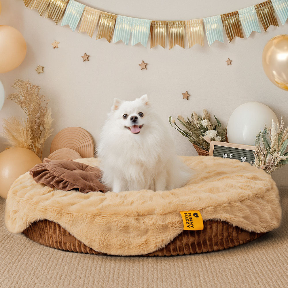 Fluffy Cake-Shaped Detachable Plush Orthopaedic Pet Bed – DreamBake