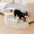 Cozy Corduroy Joint-Friendly Removable Spiral Pet Stairs - Pet-Friendly Bedroom