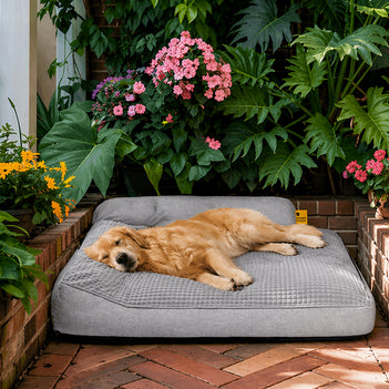 All Seasons Thickened Large Washable Cat & Dog Pillow Bed Garden Outdoor Dog Bed