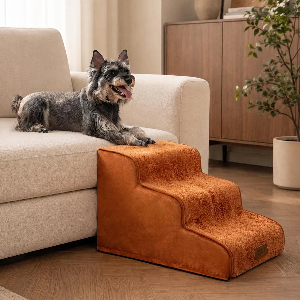2-in-1 Foam Dog Stairs & Pet Mat with Plush Velvet Cover