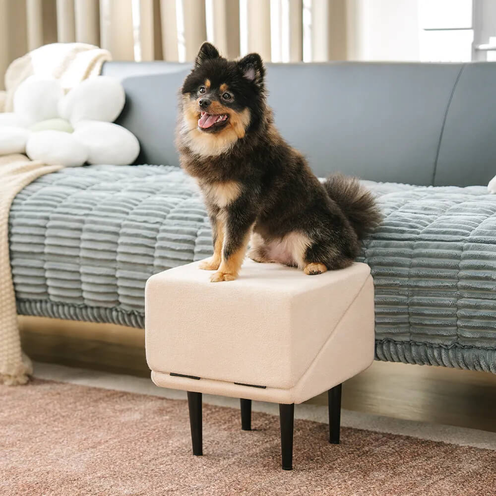 2-in-1 Convertible Wooden Home Step Stool Dog Ramp Steps