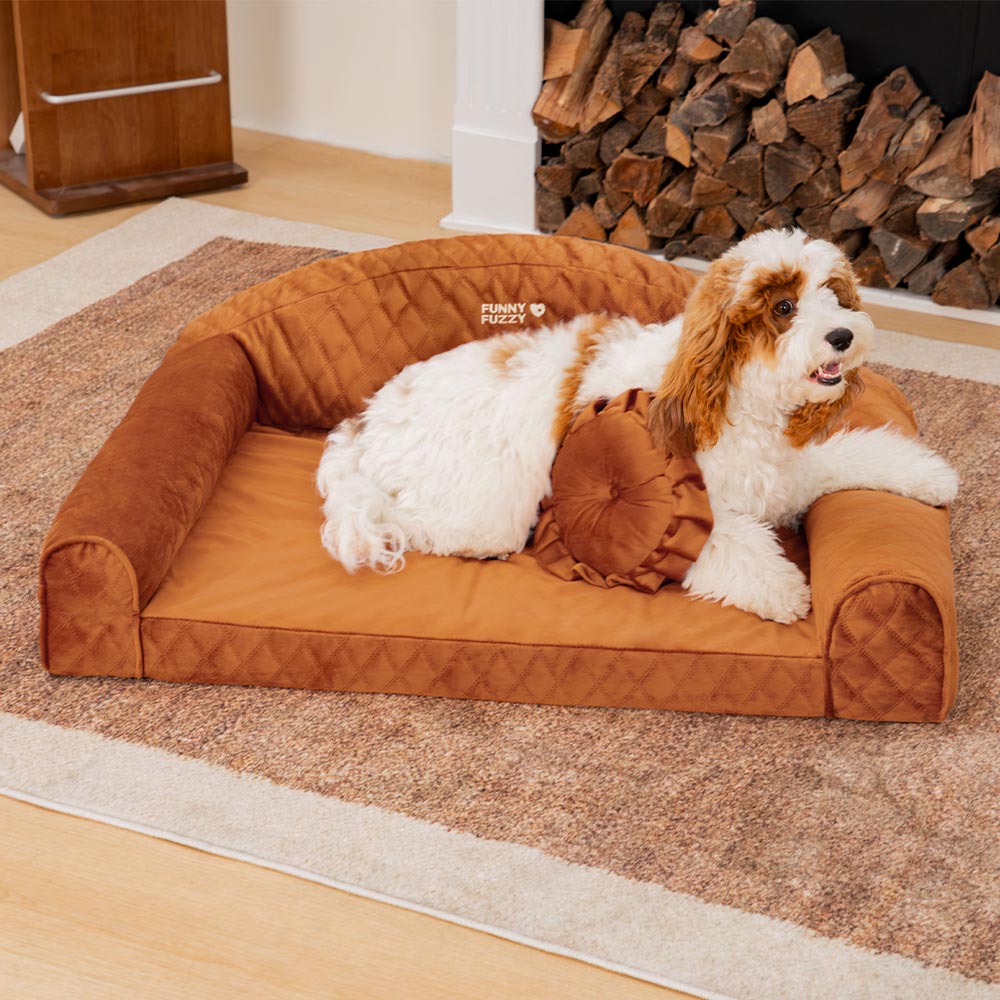 Pinky Cosy Bolster Dog Sofa Bed - Princess Lord