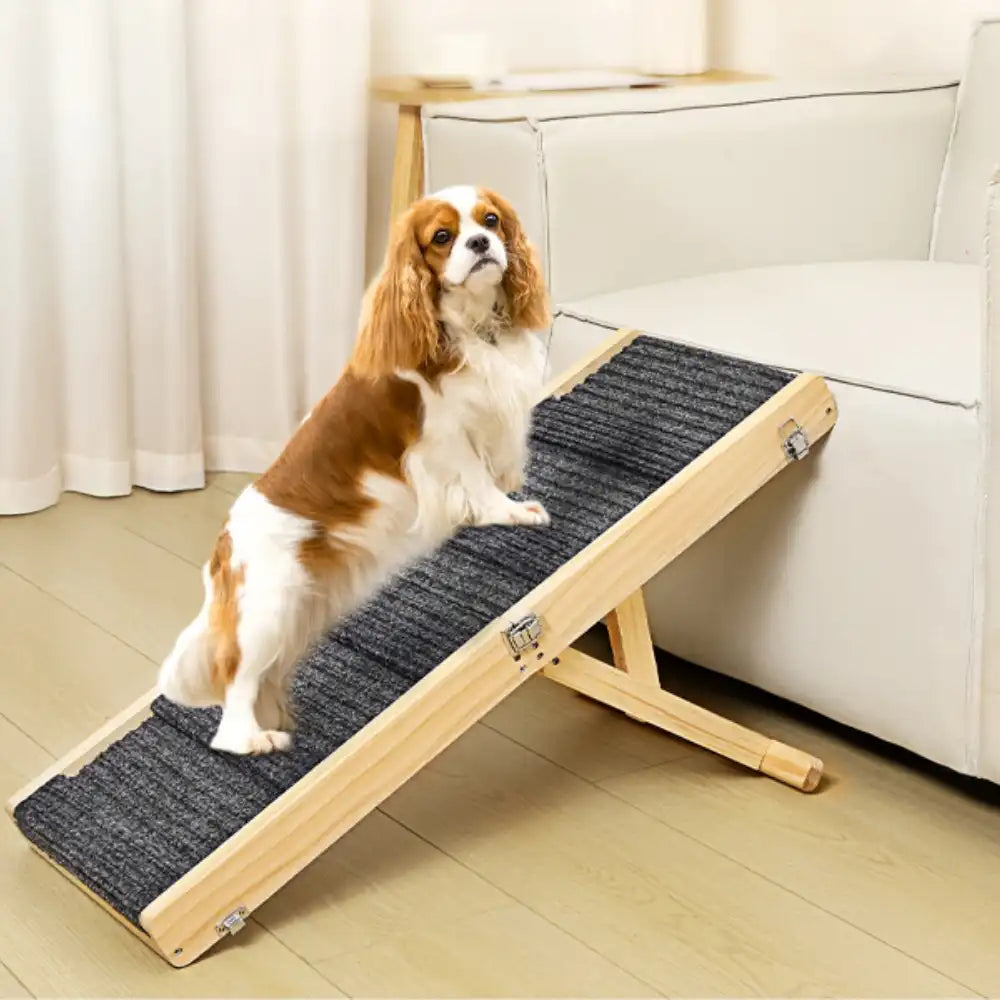 Wooden Dog Ramp 4 Levels Height Adjustable Foldable Dog Steps