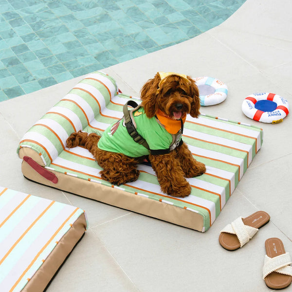 Cooling Orthopedic Dog Bed - Chill Nest