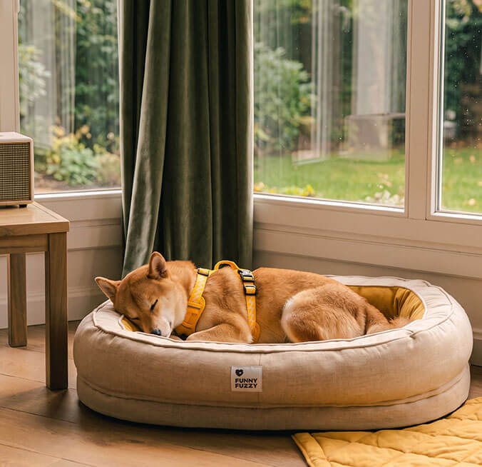 Cozy Into Fall