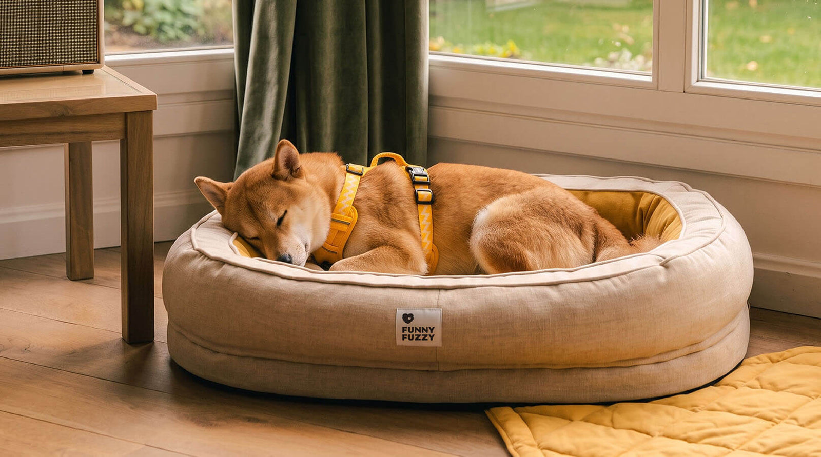 Cozy Into Fall