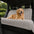 Ribbed Plush Waterproof Dog Car Seat Cover - Cozy Nest
