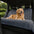 Ribbed Plush Waterproof Dog Car Seat Cover - Cozy Nest