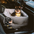 Waterproof ISOFIX Elevated & Thickened Dog Car Seat Bed with ISOFIX System