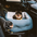 Waterproof ISOFIX Elevated & Thickened Dog Car Seat Bed with ISOFIX System